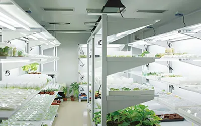 Rannsóknarstofa með stöðugan hitastig og stjórnunarskipulagningu