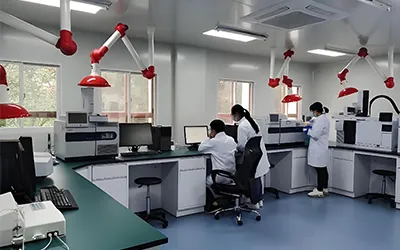 Opinberi öryggisskrifstofa / Dómstóll sérfræðiþekkingarmiðstöð Skipulagsáætlun